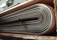 ASTM A688 TP304 Bright Annealed Stainless Steel Tube Welded U Shaped Pipe